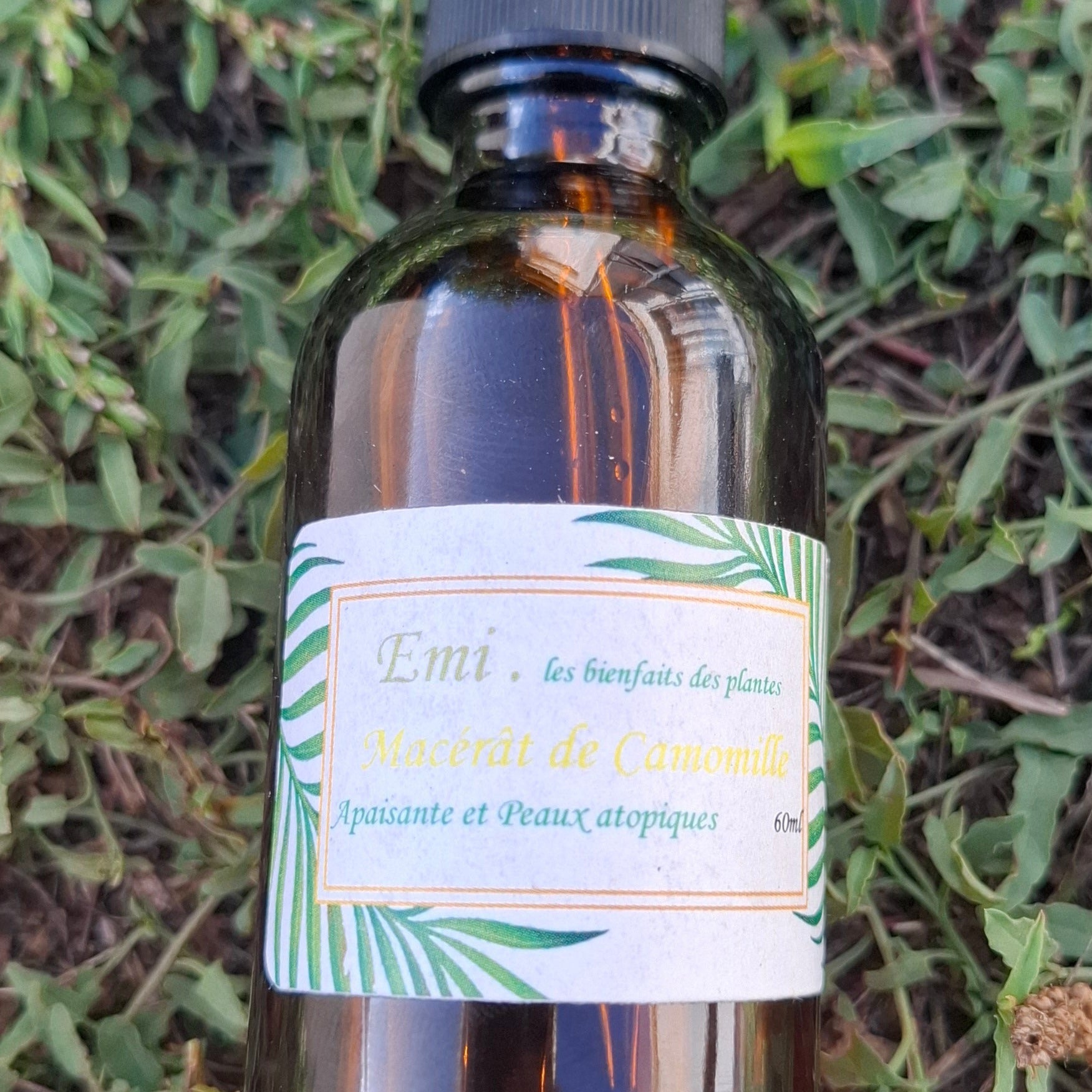 Macérâts de plantes - Emi les bienfaits des plantes