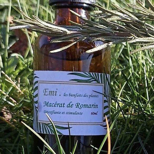 Macérâts de plantes - Emi les bienfaits des plantes