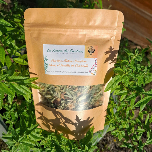 Tisanes Bien - être - Emi les bienfaits des plantes