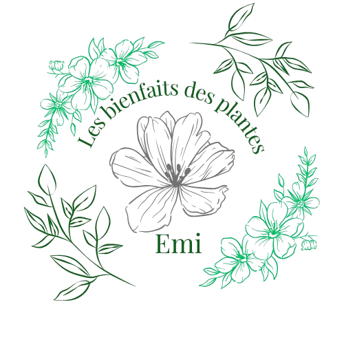 Emi les bienfaits des plantes 