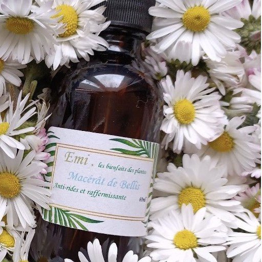 Macérâts de plantes - Emi les bienfaits des plantes