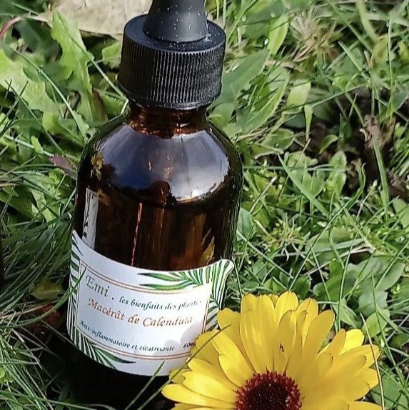 Macérâts de plantes - Emi les bienfaits des plantes